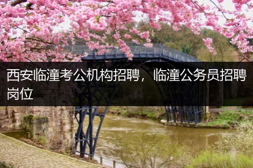 西安临潼考公机构招聘，临潼公务员招聘岗位