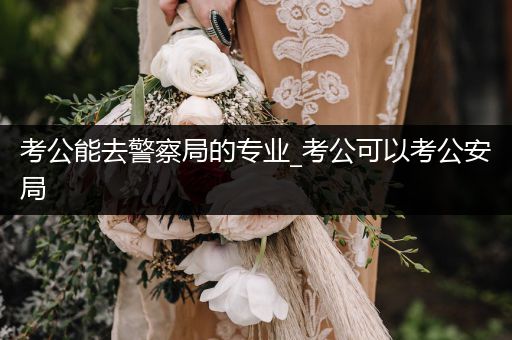 考公能去警察局的专业_考公可以考公安局