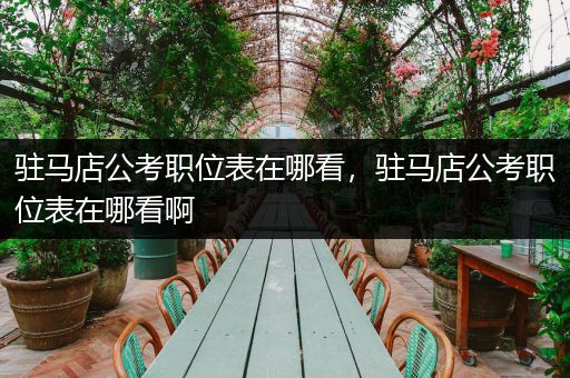 驻马店公考职位表在哪看，驻马店公考职位表在哪看啊