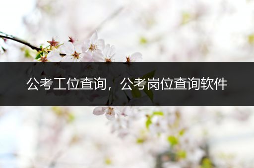 公考工位查询，公考岗位查询软件