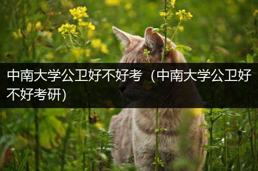 中南大学公卫好不好考（中南大学公卫好不好考研）
