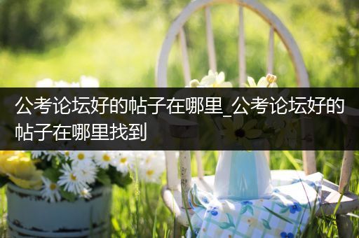 公考论坛好的帖子在哪里_公考论坛好的帖子在哪里找到