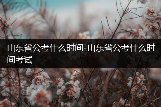 山东省公考什么时间-山东省公考什么时间考试