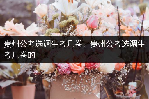 贵州公考选调生考几卷，贵州公考选调生考几卷的