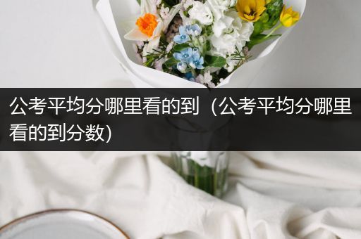 公考平均分哪里看的到（公考平均分哪里看的到分数）