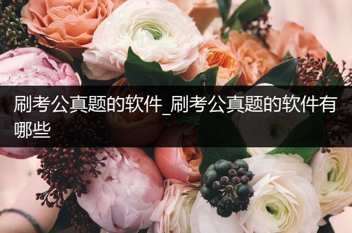 刷考公真题的软件_刷考公真题的软件有哪些
