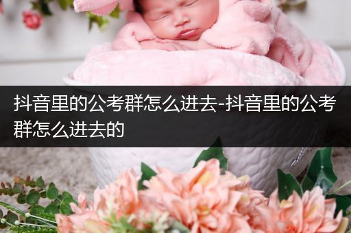 抖音里的公考群怎么进去-抖音里的公考群怎么进去的