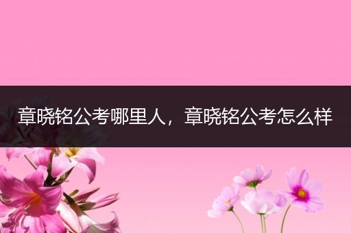 章晓铭公考哪里人，章晓铭公考怎么样