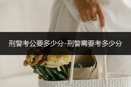 刑警考公要多少分-刑警需要考多少分