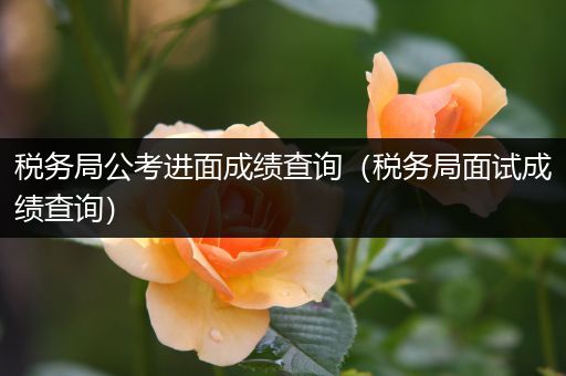 税务局公考进面成绩查询（税务局面试成绩查询）
