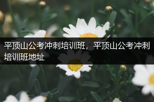 平顶山公考冲刺培训班，平顶山公考冲刺培训班地址