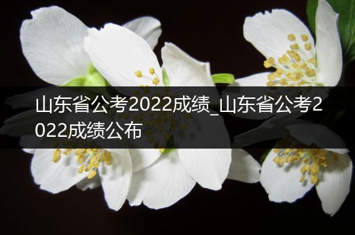 山东省公考2022成绩_山东省公考2022成绩公布
