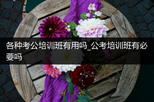 各种考公培训班有用吗_公考培训班有必要吗