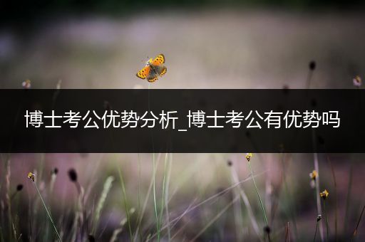 博士考公优势分析_博士考公有优势吗