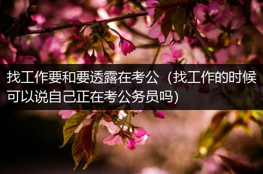找工作要和要透露在考公（找工作的时候可以说自己正在考公务员吗）