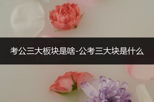 考公三大板块是啥-公考三大块是什么
