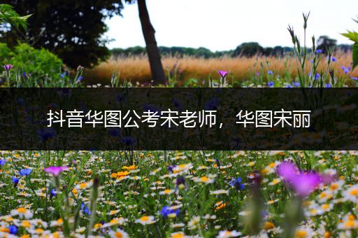 抖音华图公考宋老师，华图宋丽