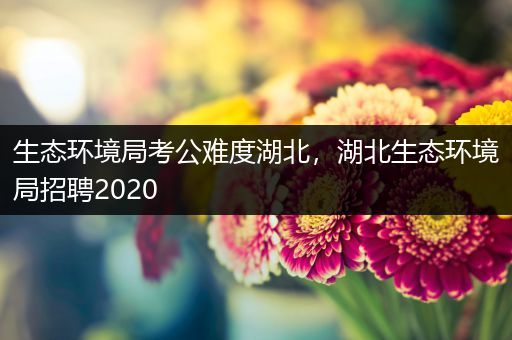 生态环境局考公难度湖北，湖北生态环境局招聘2020