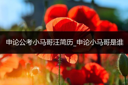 申论公考小马哥汪简历_申论小马哥是谁
