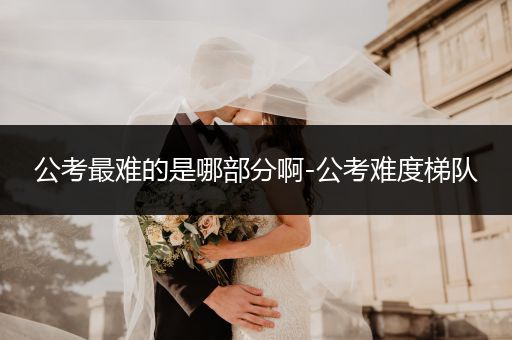 公考最难的是哪部分啊-公考难度梯队