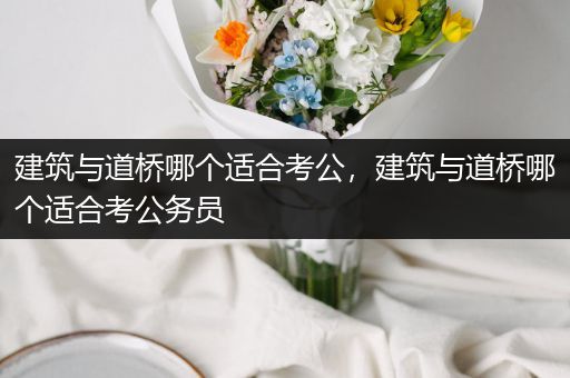 建筑与道桥哪个适合考公，建筑与道桥哪个适合考公务员