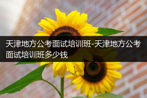 天津地方公考面试培训班-天津地方公考面试培训班多少钱