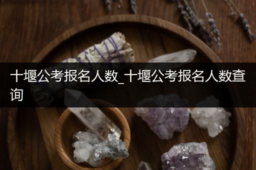 十堰公考报名人数_十堰公考报名人数查询