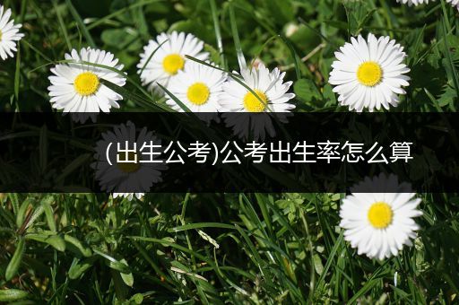 （出生公考)公考出生率怎么算