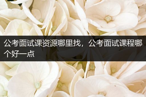 公考面试课资源哪里找，公考面试课程哪个好一点