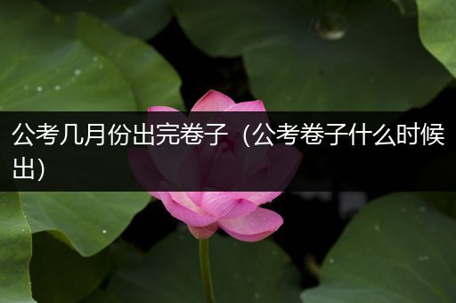 公考几月份出完卷子（公考卷子什么时候出）