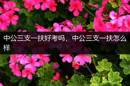 中公三支一扶好考吗，中公三支一扶怎么样