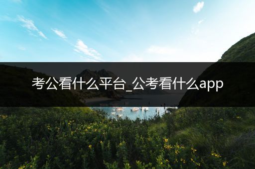 考公看什么平台_公考看什么app