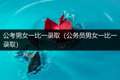 公考男女一比一录取（公务员男女一比一录取）