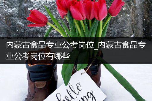内蒙古食品专业公考岗位_内蒙古食品专业公考岗位有哪些