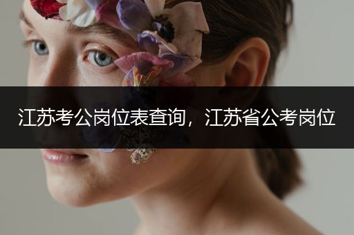 江苏考公岗位表查询，江苏省公考岗位