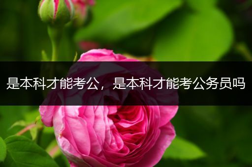是本科才能考公，是本科才能考公务员吗