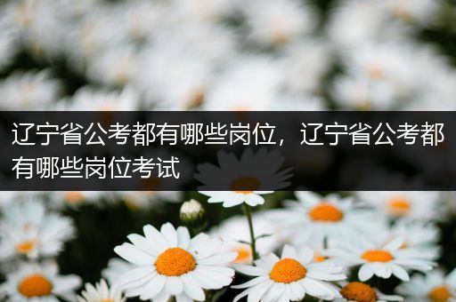 辽宁省公考都有哪些岗位，辽宁省公考都有哪些岗位考试