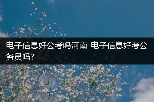 电子信息好公考吗河南-电子信息好考公务员吗?