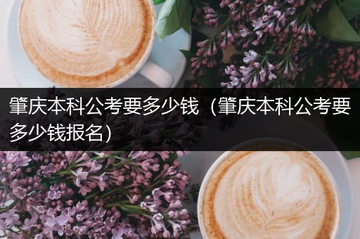 肇庆本科公考要多少钱（肇庆本科公考要多少钱报名）