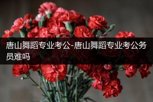 唐山舞蹈专业考公-唐山舞蹈专业考公务员难吗