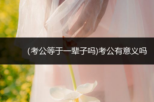 （考公等于一辈子吗)考公有意义吗