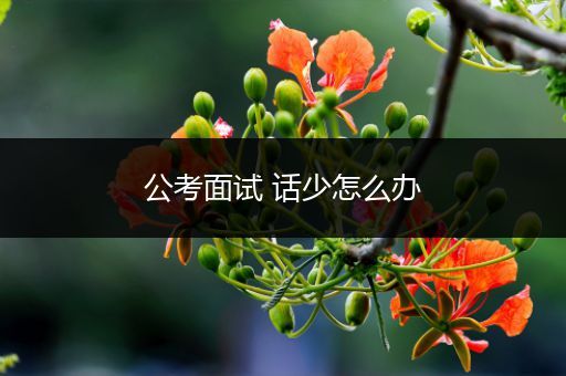 公考面试 话少怎么办