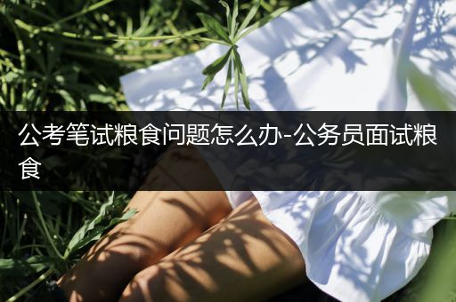 公考笔试粮食问题怎么办-公务员面试粮食