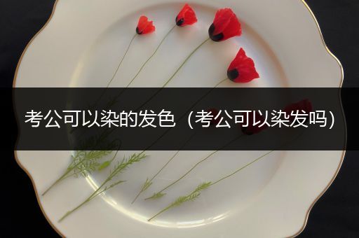 考公可以染的发色（考公可以染发吗）
