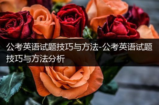 公考英语试题技巧与方法-公考英语试题技巧与方法分析