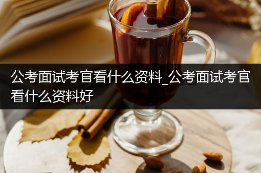 公考面试考官看什么资料_公考面试考官看什么资料好