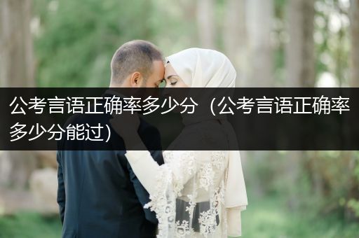 公考言语正确率多少分（公考言语正确率多少分能过）