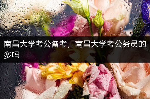 南昌大学考公备考，南昌大学考公务员的多吗