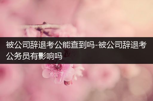 被公司辞退考公能查到吗-被公司辞退考公务员有影响吗