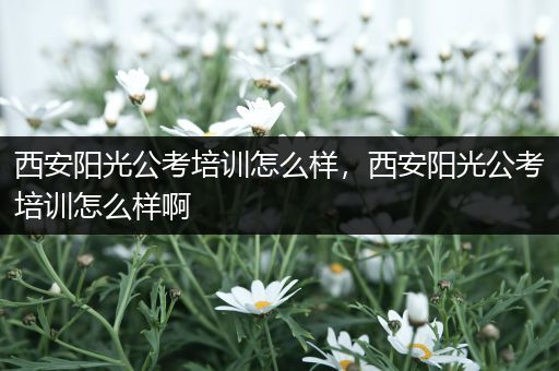 西安阳光公考培训怎么样，西安阳光公考培训怎么样啊